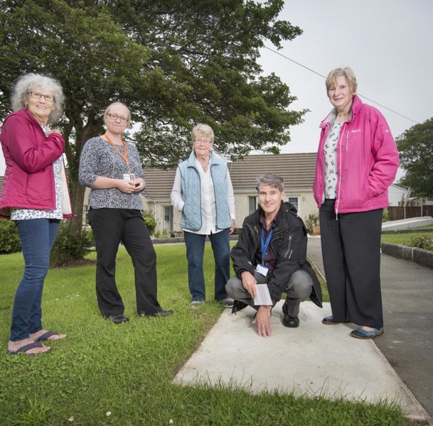 Greenspace project, Camborne